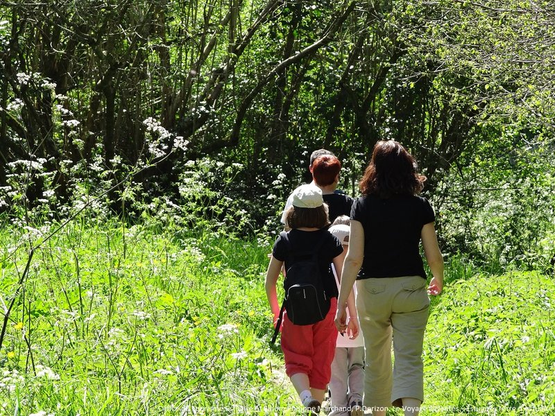 Domaine AbracadaRoom : Terre d'estuaire à Lavau-sur-Loire - Image 9