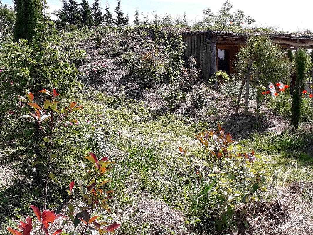 Maison  du Hobbit avec spa privatif à Villarzel Du Razès (25)