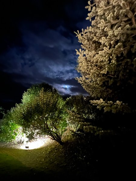 Domaine AbracadaRoom : Reves2bulles - Image 2