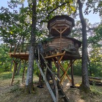 Toute l'équipe de Vit Tel Ta Nature