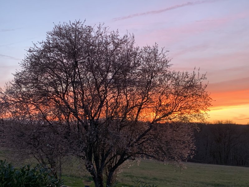 Domaine AbracadaRoom : La Buissonnière Lodges - Image 7