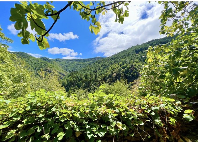 Hébergement AbracadaRoom : Yourte Cévennes - Image 4