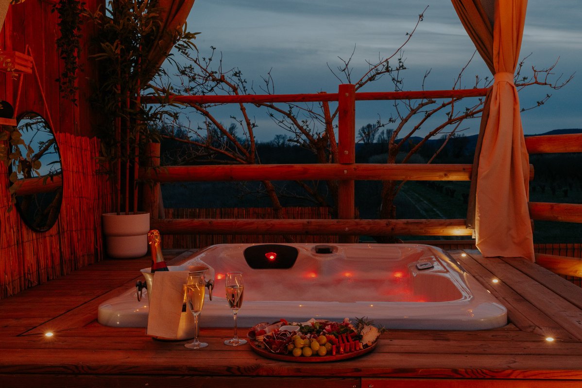Vignabulle & Spa & Sauna à Saint Martin D'ardèche (27)