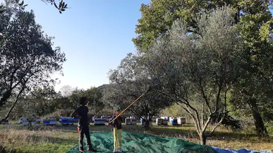 Domaine AbracadaRoom : La ferme Blandine agriculture biologique - Image 25