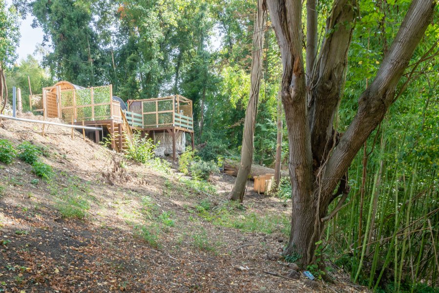 Hébergement AbracadaRoom : La Cabane du Panda & Spa - Image 19