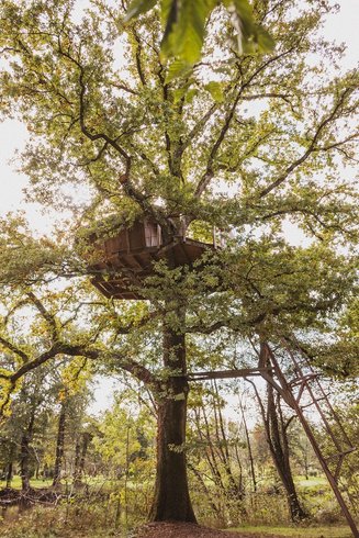 Hébergement AbracadaRoom : Cabane Évasion - Image 2