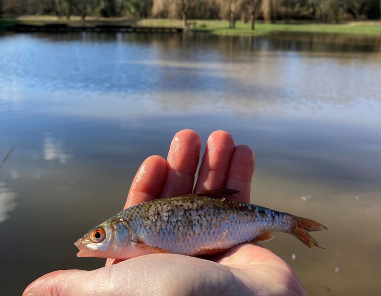 Hébergement AbracadaRoom : Ecolodge insolite -100% Eco-Responsable - Image 18