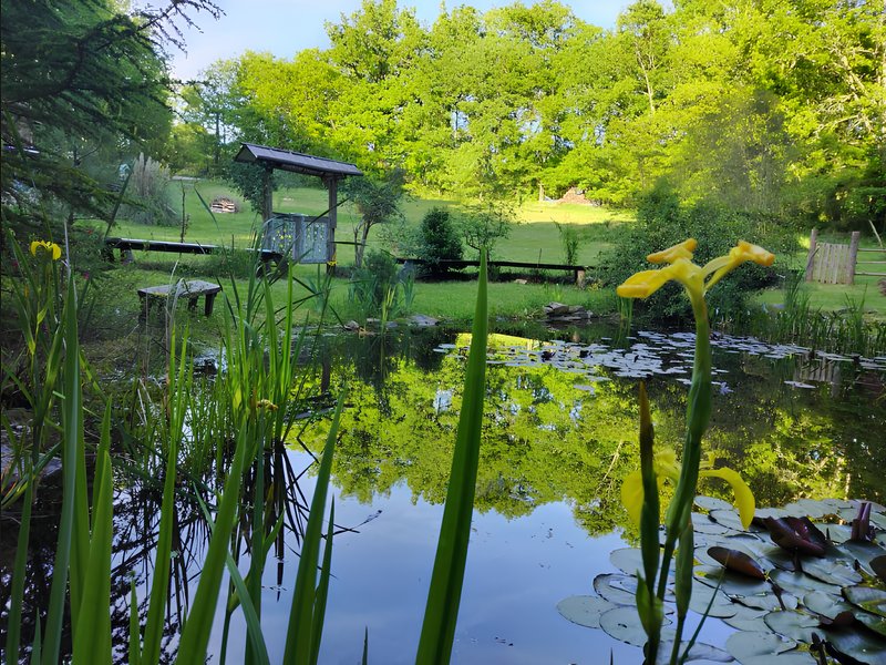 Domaine AbracadaRoom : L'Echappée Sauvage - Image 1