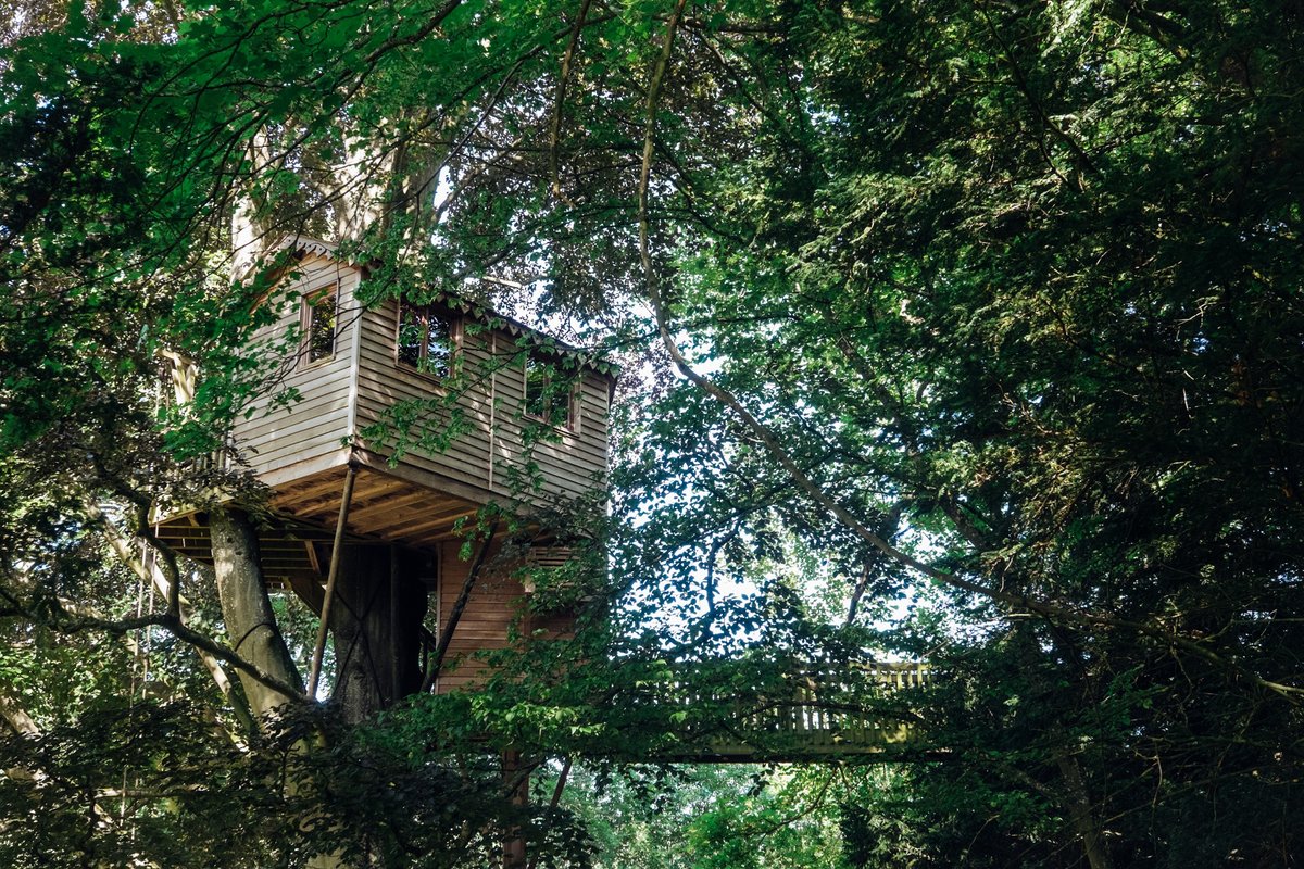 Cabane perchée la Canopée à Chigny-Les-Roses (9)