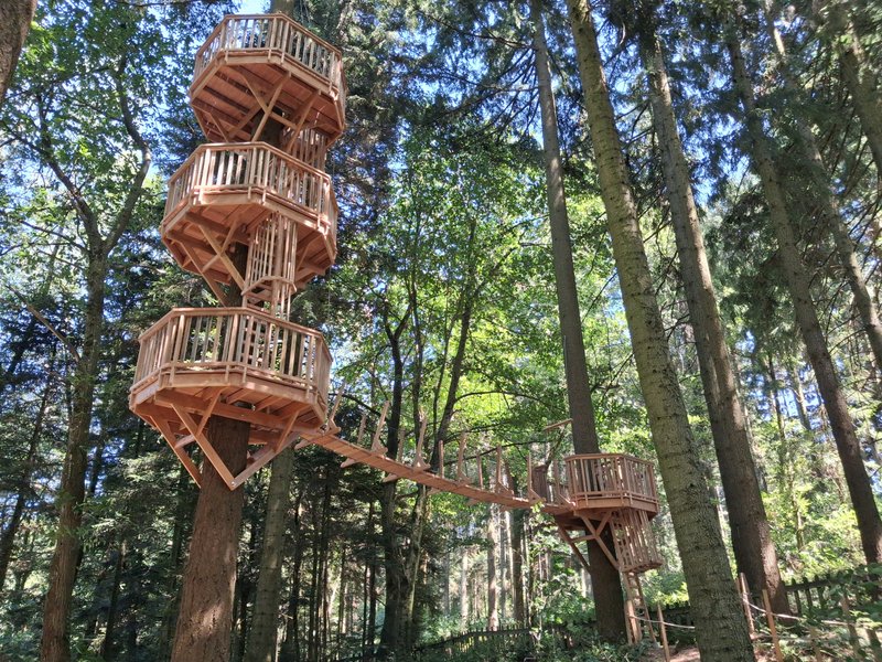 Hébergement AbracadaRoom : Cabane Panda - Image 12
