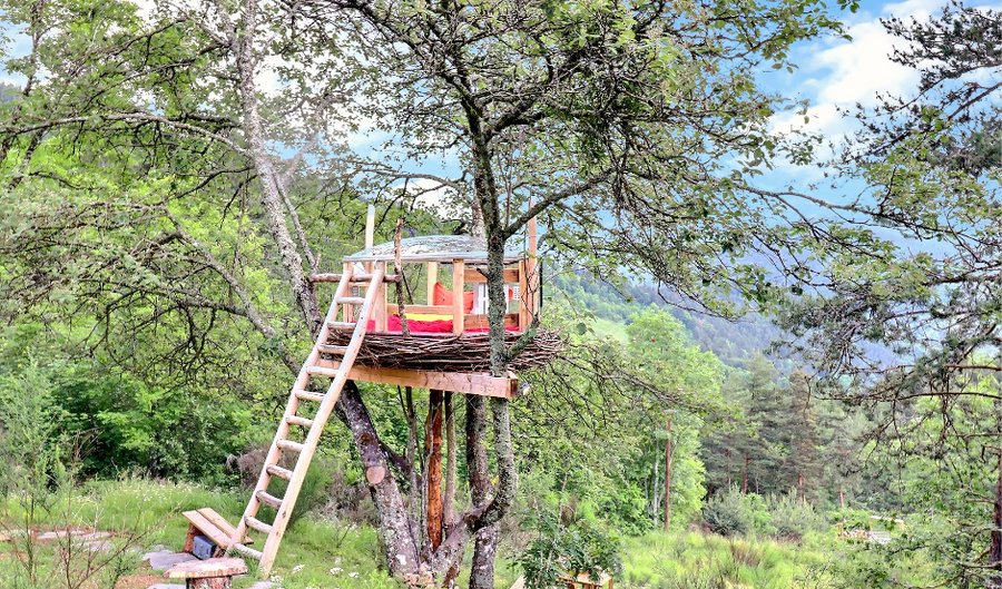 Hébergement AbracadaRoom : Le Nid, perché à la cime de l'arbre - Image 5