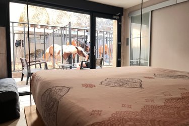 Suite 3 - 3 pers. terrasse avec des chevaux pour voisin de chambre à Fraisnes-En-Saintois (2)