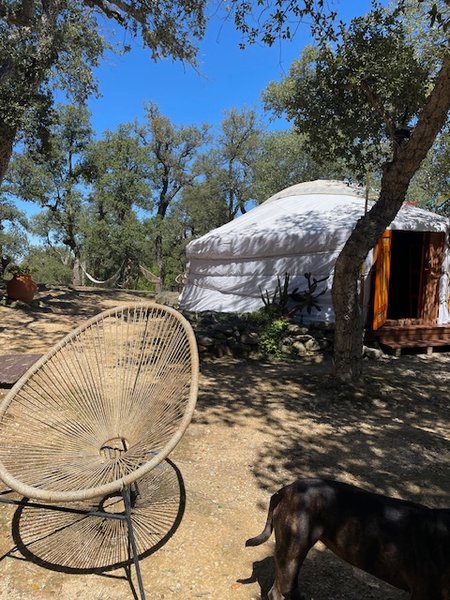 Hébergement AbracadaRoom : YOURTE AU SOLEIL LEVANT - Image 13