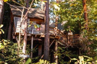 Cabane dans les arbres Vosges
