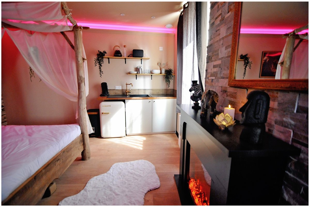 Évasion safari unique, SPA XXL, CASCADE D'EAU, CINÉMA PRIVÉ, 5 min du centre à Bourgoin Jallieu (8)
