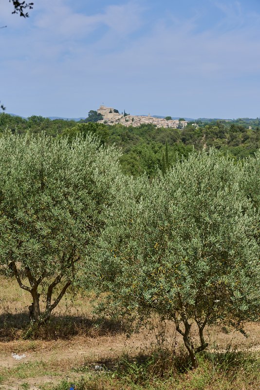 Ecolodge thym 2 pers à Villelaure (5)