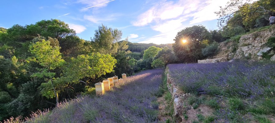 Domaine AbracadaRoom : Lou Calen - Image 8