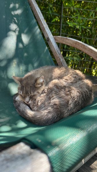 Hébergement AbracadaRoom : Chambre Spa Caline - Image 8