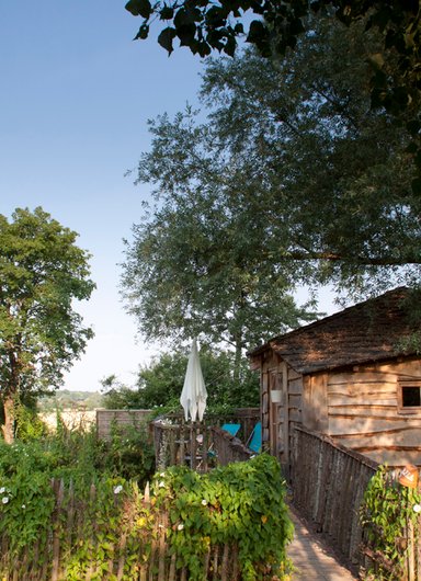 cabane libellule