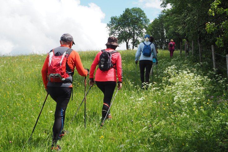 Domaine AbracadaRoom : L'Etape en Forêt - Image 2