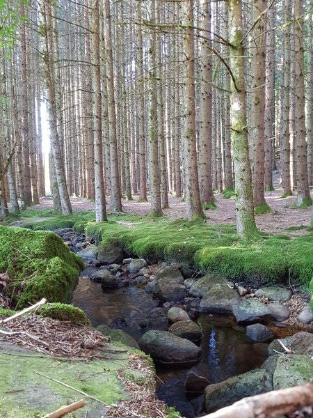 Domaine AbracadaRoom : Les jolis chalets - Image 4