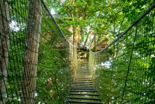 Cabane dans les arbres Calvados