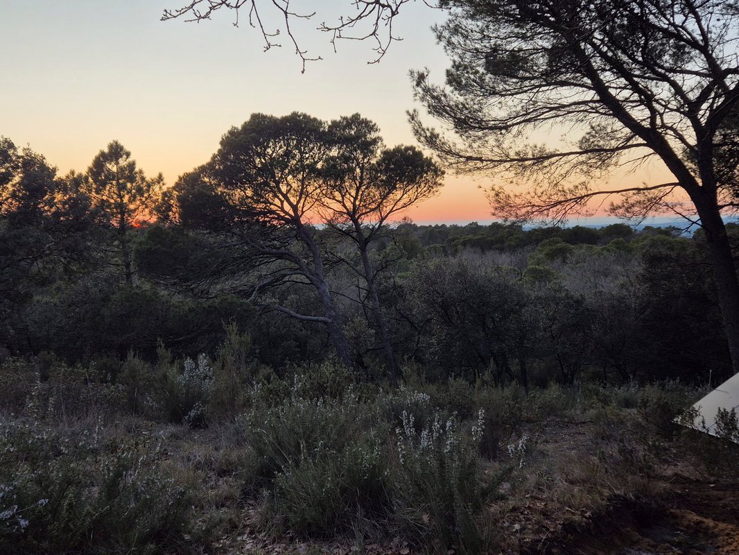 La Forêt Enchantée - Refuge au coeur du Vaucluse à Mondragon (45)