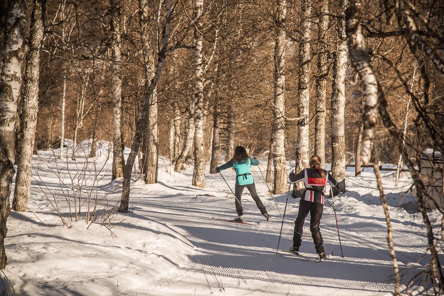 Hébergement AbracadaRoom : La Cabane Enchantée - Image 7