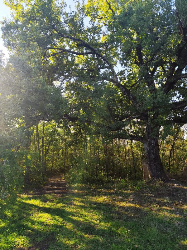 Cocon de verre avec Bain Nordique à Moissac (25)