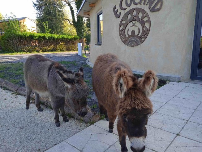 Domaine AbracadaRoom : Ecoland - Image 11