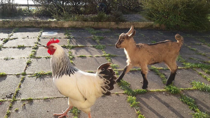 Domaine AbracadaRoom : Domaine du Vigneau - Image 3