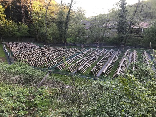 Domaine AbracadaRoom : Moulin Burignat - Image 7