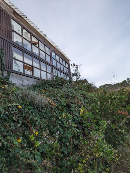 Domaine AbracadaRoom : La mauvaise herbe - Image 6