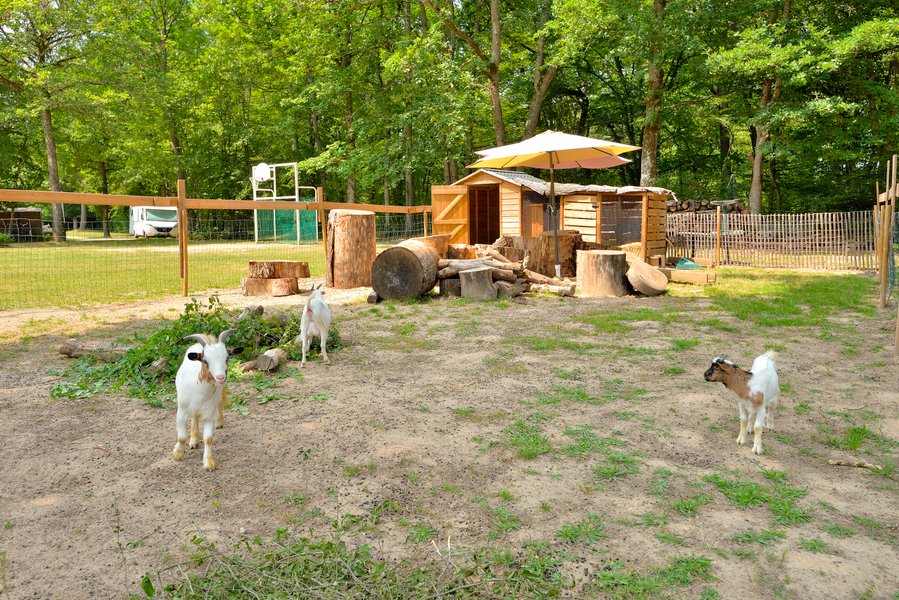 Domaine AbracadaRoom : Seasonova Camping Etang de la  Vallée - Image 11