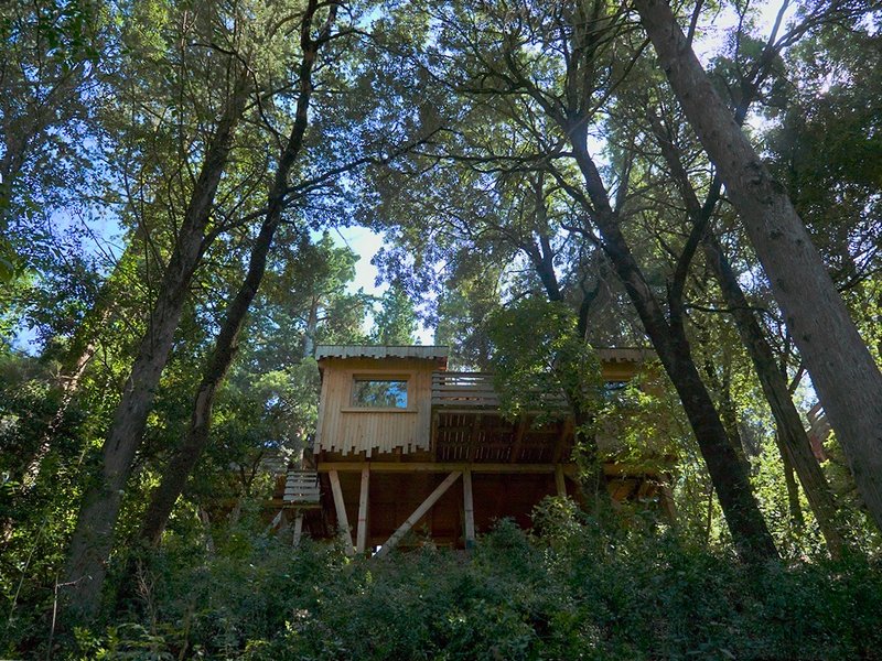 Hébergement AbracadaRoom : Cabane Tribu - Image 2