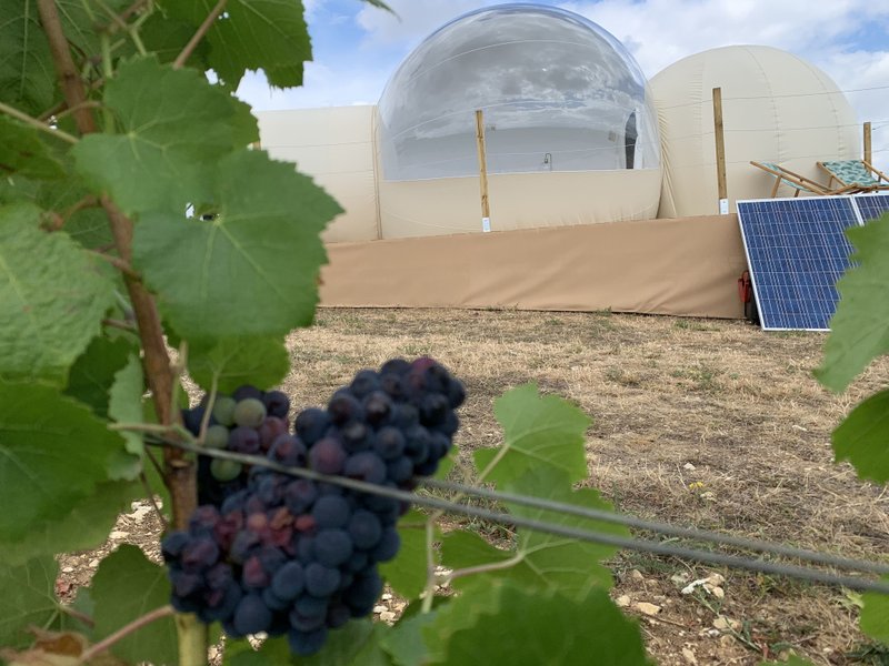 Hébergement AbracadaRoom : Bulle des vignes - Image 26