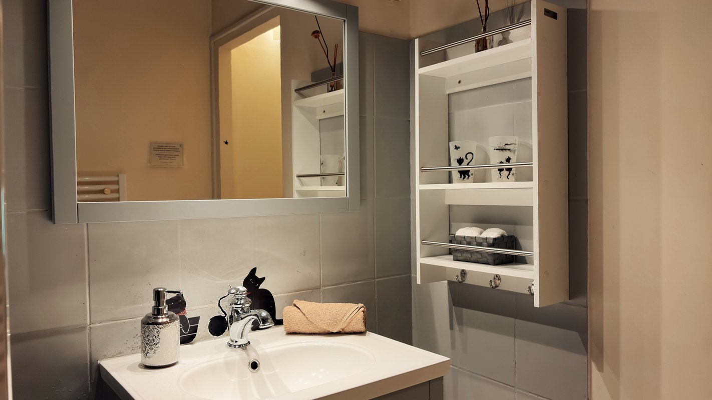 Chambre Chat à Marennes (5)