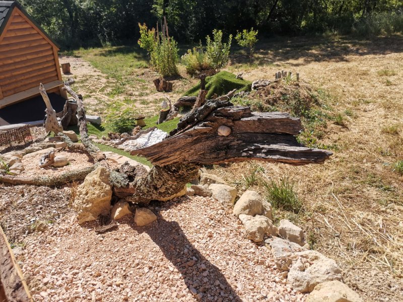 Hébergement AbracadaRoom : La Chaumière magique des Elfes et son escape game - Image 40