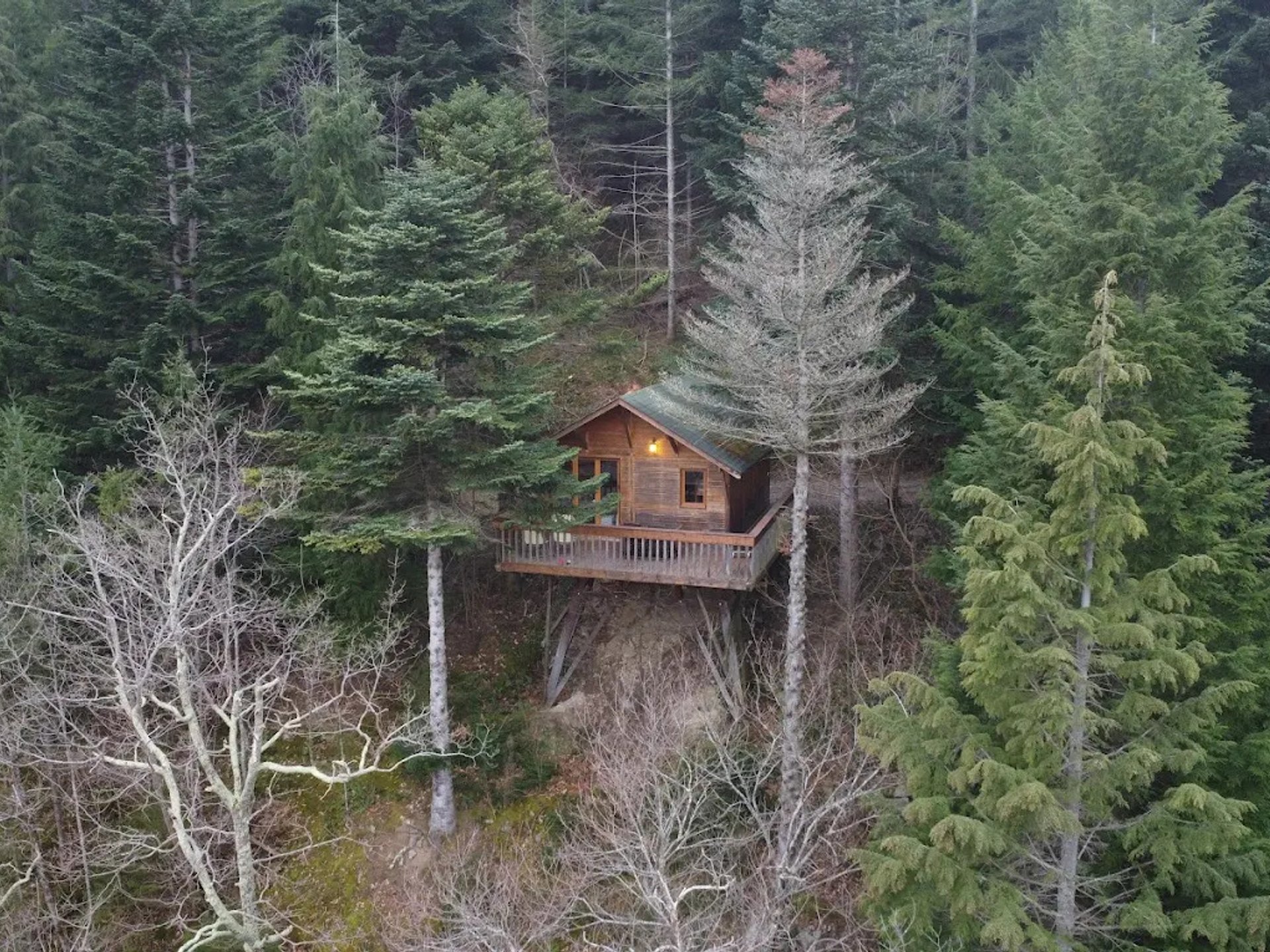 Cabane Séquoïa