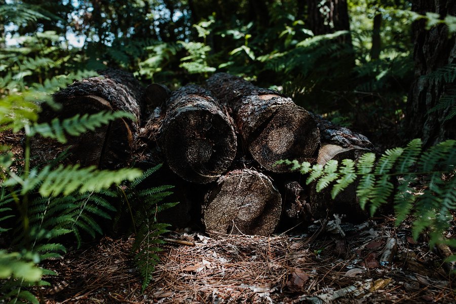 Domaine AbracadaRoom : Tiny Stay Ecolodge - Image 14