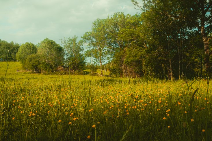 Domaine AbracadaRoom : La Casitanatur - Image 5