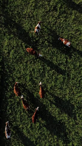 Domaine AbracadaRoom : Parcel Tiny House - dans une ferme proche Paris - Image 9