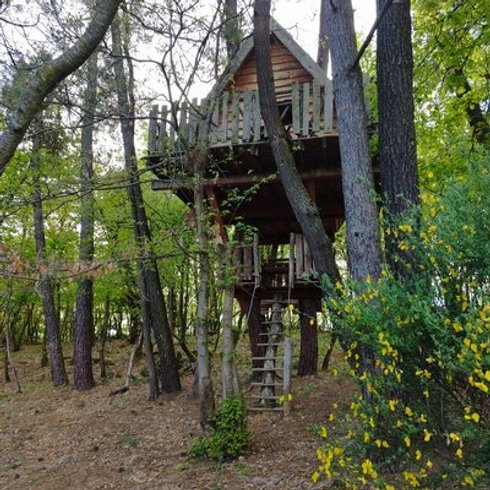Hébergement AbracadaRoom : Cabane Nid d’Oiseaux - Un cocon perché qui danse avec le vent - Image 12