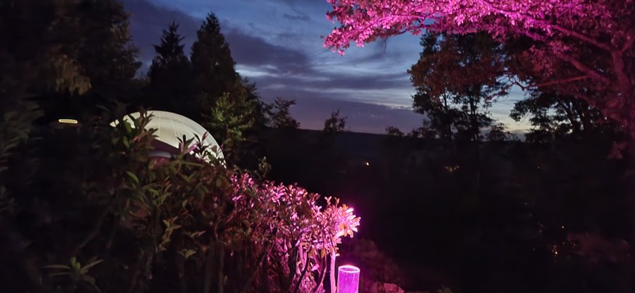 Domaine AbracadaRoom : Les Bulles du  Coq de Champagne - Image 18