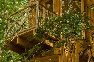 Treehouse Oise