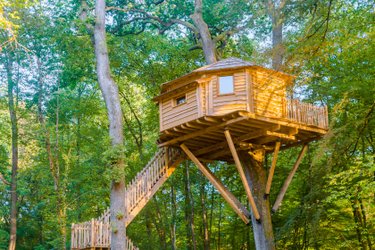 Cabane Vertige à Joncherey (1)