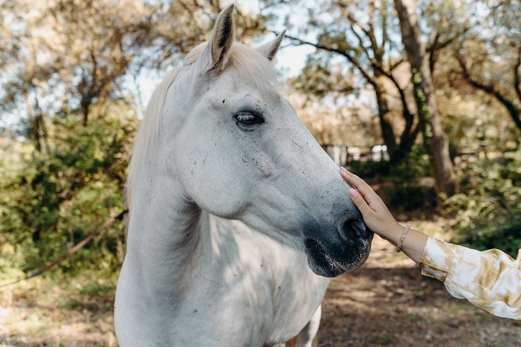 Domaine AbracadaRoom : Domaine de Biar - Image 37