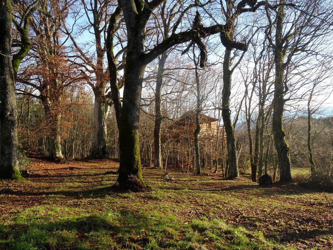 La Cabane des Fayards à Saint Agrève (2)