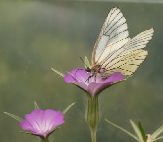 Domaine AbracadaRoom : Kaban'Etik - Image 17