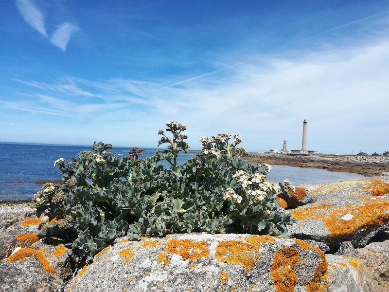 Domaine AbracadaRoom : Le P'tit Gris des Moulins - Image 7